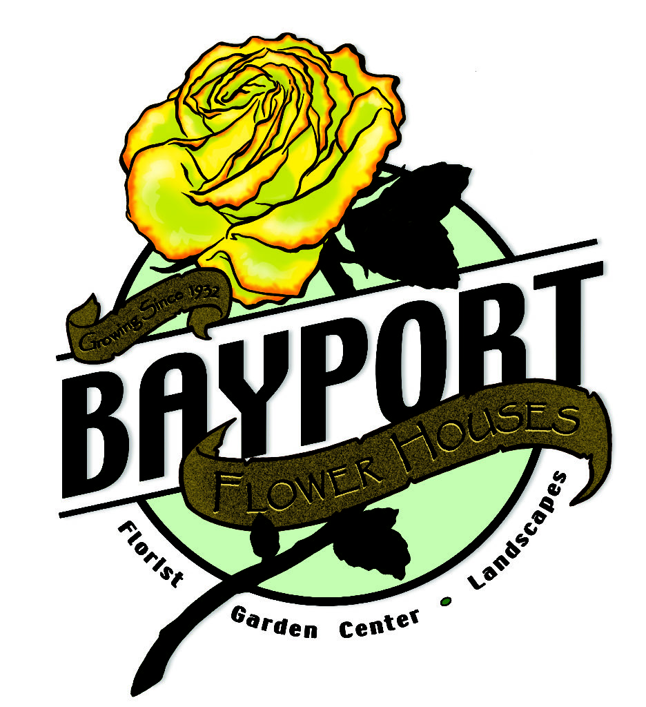 BAYPORT FLOWER HOUSES’ GIFT CARD Bayport Flower Shop