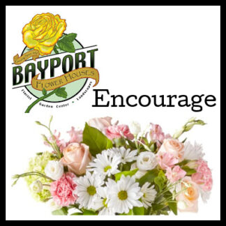 Flower Shop - Encouragement, Get Well