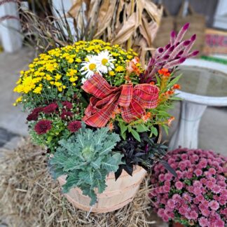 WORKSHOP - Creative Autumn Planters