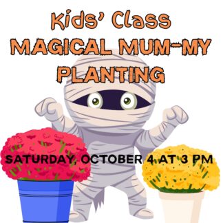 KIDS CLASS - Magical Mum-my Planting