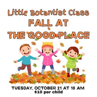 LITTLE BOTANIST CLASS - Fall in The Good Place!