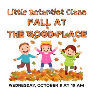 LITTLE BOTANIST CLASS - Fall in The Good Place!